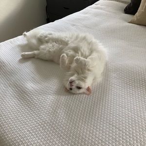 Meet your Posher, Zach